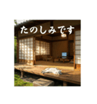 ほっとする昭和猫♡（個別スタンプ：31）