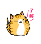 手書きねこ 茶トラ（個別スタンプ：8）