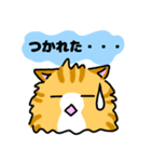 手書きねこ 茶トラ（個別スタンプ：23）