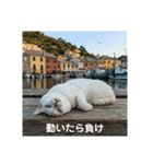 だらっと海辺猫♡（個別スタンプ：9）