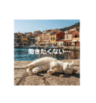 だらっと海辺猫♡（個別スタンプ：10）