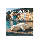 だらっと海辺猫♡（個別スタンプ：18）