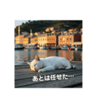 だらっと海辺猫♡（個別スタンプ：34）