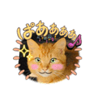 いろんな猫達の日常（個別スタンプ：29）