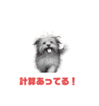変な関西人のツッコミ！（個別スタンプ：14）