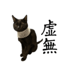 黒猫ジジの可愛さ伝え隊（個別スタンプ：19）