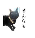 黒猫ジジの可愛さ伝え隊（個別スタンプ：20）