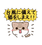 毎日五月病なねこたち 猫の日2（個別スタンプ：34）