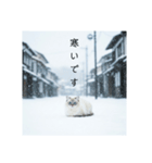 雪と街とねこ♡（個別スタンプ：1）