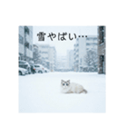 雪と街とねこ♡（個別スタンプ：2）