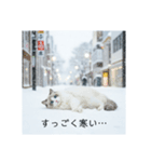 雪と街とねこ♡（個別スタンプ：3）