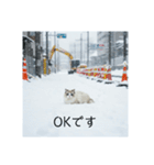 雪と街とねこ♡（個別スタンプ：6）
