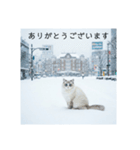 雪と街とねこ♡（個別スタンプ：7）