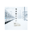雪と街とねこ♡（個別スタンプ：18）