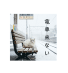 雪と街とねこ♡（個別スタンプ：19）