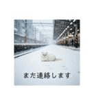 雪と街とねこ♡（個別スタンプ：20）