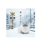 雪と街とねこ♡（個別スタンプ：23）