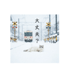 雪と街とねこ♡（個別スタンプ：24）