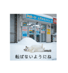 雪と街とねこ♡（個別スタンプ：25）