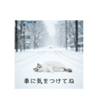 雪と街とねこ♡（個別スタンプ：27）