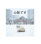 雪と街とねこ♡（個別スタンプ：28）