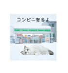 雪と街とねこ♡（個別スタンプ：29）