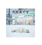 雪と街とねこ♡（個別スタンプ：31）