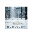 雪と街とねこ♡（個別スタンプ：34）