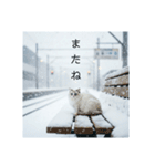 雪と街とねこ♡（個別スタンプ：36）
