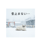 雪と街とねこ♡（個別スタンプ：37）
