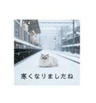 雪と街とねこ♡（個別スタンプ：39）