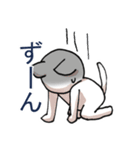 しろねこさんたちのスタンプ（個別スタンプ：10）