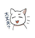 しろねこさんたちのスタンプ（個別スタンプ：13）