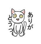 しろねこさんたちのスタンプ（個別スタンプ：14）