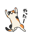 猫とさびお（個別スタンプ：5）