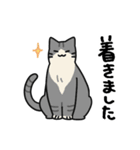 猫とさびお（個別スタンプ：11）
