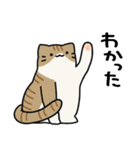 猫とさびお（個別スタンプ：16）