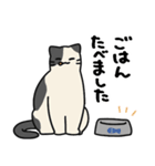 猫とさびお（個別スタンプ：22）