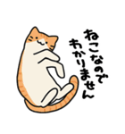 猫とさびお（個別スタンプ：25）