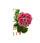 ゼラニウムを添えて挨拶や相槌など盛り沢山（個別スタンプ：4）