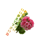 ゼラニウムを添えて挨拶や相槌など盛り沢山（個別スタンプ：17）
