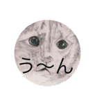 おおさかねこちゃん20（個別スタンプ：14）