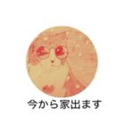 おおさかねこちゃん20（個別スタンプ：33）