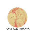 おおさかねこちゃん20（個別スタンプ：35）
