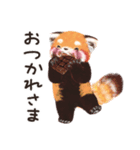 レッサーパンダのポへ！ず〜っと毎日使える（個別スタンプ：13）