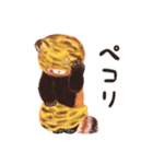 レッサーパンダのポへ！ず〜っと毎日使える（個別スタンプ：16）