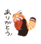 レッサーパンダのポへ！ず〜っと毎日使える（個別スタンプ：37）