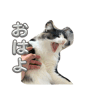 くまらいむかいみかん2（個別スタンプ：5）