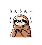 今日のナマケモノ（個別スタンプ：11）