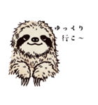 今日のナマケモノ（個別スタンプ：15）